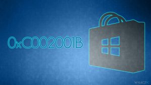 Jak naprawić błąd 0xC002001B sklepu Microsoft Store?
