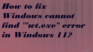 Jak naprawić błąd System Windows nie mógł znaleźć „wt.exe” w systemie Windows 11?